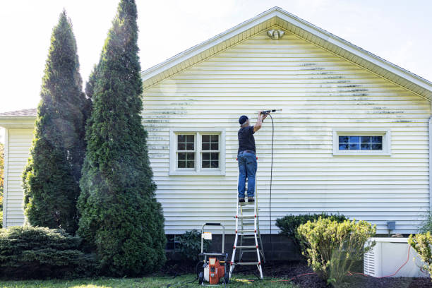 Best Garage Pressure Washing  in Lake Arbor, MD
