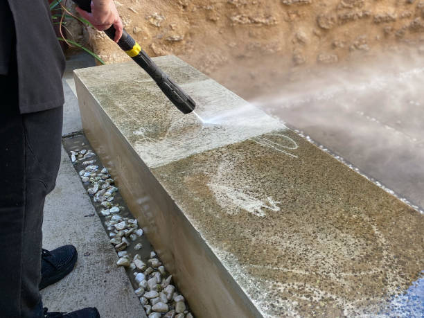 Best Exterior Home Cleaning  in Lake Arbor, MD