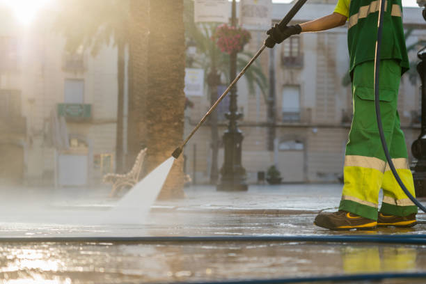 Best Deck Cleaning Services  in Lake Arbor, MD