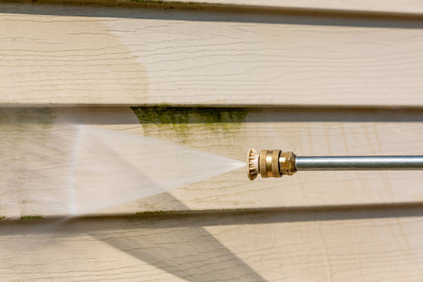 Best Local Pressure Washing Services  in Lake Arbor, MD